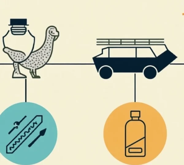 salmonella-risk-in-eggs-what-to-know