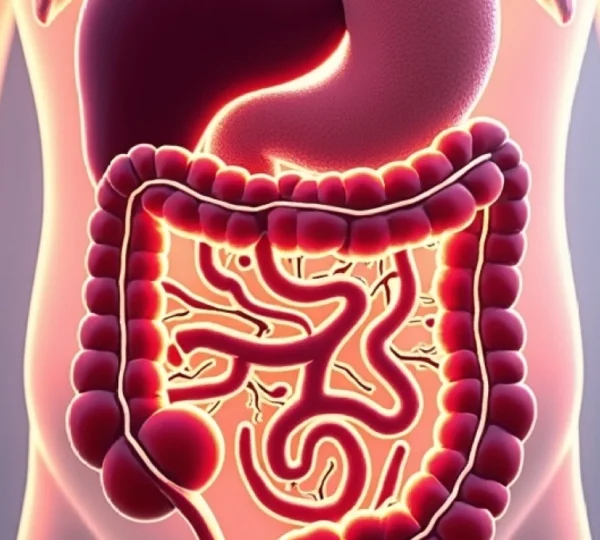 understanding-abdominal-lymph-node-inflammation